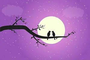 Flirt Prints: Two birds in love on a branch in the moonlight shadow