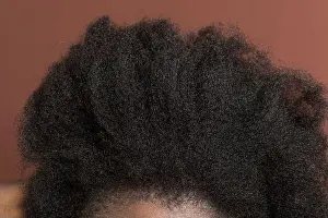 Back View Prints: Black afro curly hair with shrinkage, Type 4c hair that is dry with a brown background