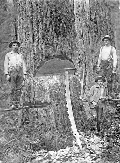 Workmen Prints: This black-and-white photograph from the Gerald W