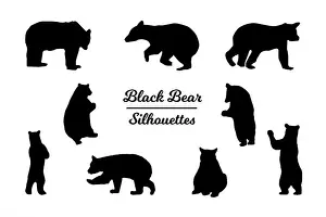 Black bear animal silhouettes. Black and white outline
