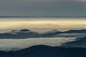 Scienic View Prints: Black Forest Landscape