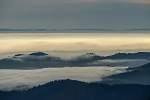 Scienic View Prints: Black Forest Landscape