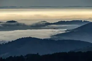 Scienic View Prints: Black Forest Landscape