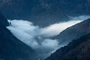 Scienic View Prints: Black Forest Landscape