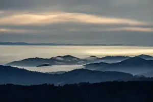 Mountainscape Prints: Black Forest Landscape