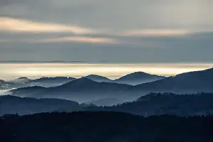 Mountainscape Prints: Black Forest Landscape