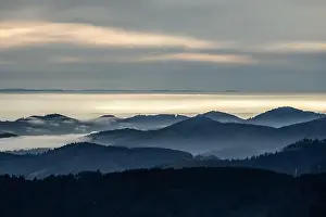 Mountainscape Prints: Black Forest Landscape