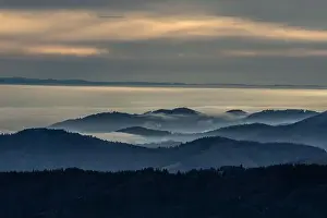 Mountainscape Prints: Black Forest Landscape