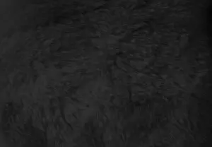 Softness Prints: Black fur background close up view. Texture wallpaper. Black fur background close up view