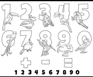 Toucan Prints: Black and white cartoon illustration of educational numbers set from one to nine with funny birds animal characters