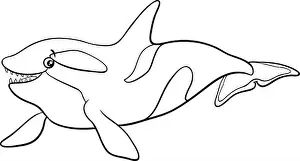 Whale Prints: Black and white cartoon illustration of orca or killer whale sea animal character coloring book page