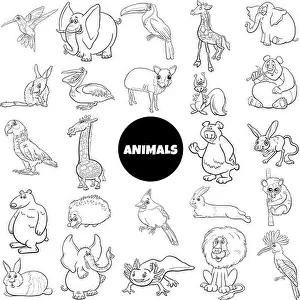 Black and white cartoon illustration of wild animal species characters big set