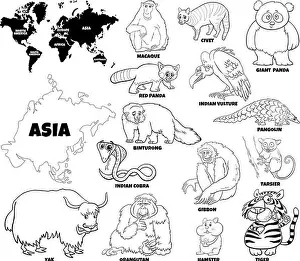 Macaque Prints: Black and white educational cartoon illustration of Asian animal species set