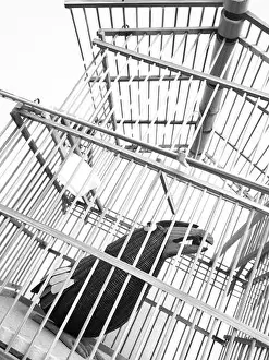 Toucan Prints: A black and white image of a fake toucan bird ins wooden bird cage