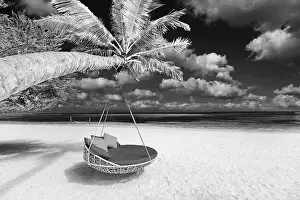 Hammock Prints: Black and white tropical beach panorama as summer landscape with beach swing or hammock and white sand