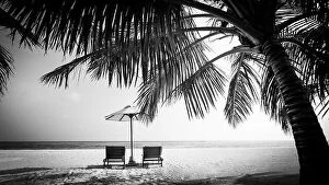 Images Dated 13th December 2018: Black and white view of beautiful beach with palm leaves. Summer landscape in dramatic process