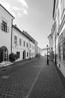Footage Prints: A blackandwhite photo of a cobblestone street with white buildings under a cloudy sky