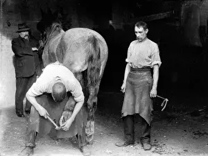 Blacksmith, Beckenham early 1900s