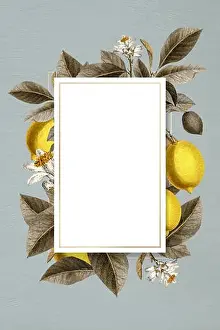Yellow Vector Vectors Prints: Blank tropical lemon card vector