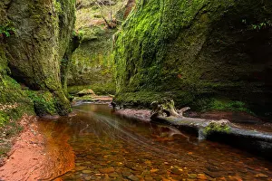 Ravine Prints: Blood red river in a green gorge