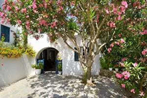 Flower Prints: Blooming flowers in Mykonos Town, Chora - Mykonos Island, Greece