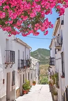 Blooming flowers on the street, White Village of Zahara de la Sierra, Andalusia, Spain