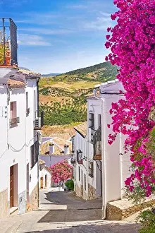 Blooming flowers on the street, White Village of Zahara de la Sierra, Andalusia, Spain