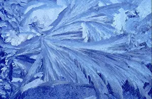 Frigid Prints: Blue frost on a cabin window in Sawtooth Valley, ID