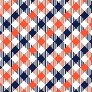 Blanket Prints: Blue and Orange Gingham pattern