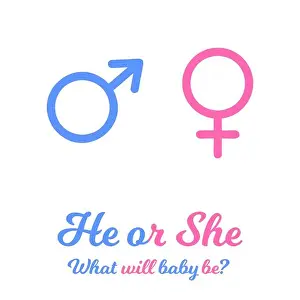 Reveal Prints: Blue and pink gender signs. Baby boy or girl coming soon
