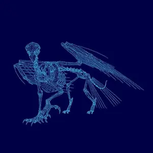 Raven Prints: Blue skeleton with wings is shown in a blue background. blue skeleton with wings