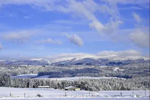 Grafenau Prints: blue winter cold