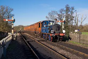 Approaching Prints: Bluebell Steam Train approaching Sheffield Park Station