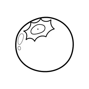 White Line Prints: Blueberry coloring page for adults and kids. Black and white print with berry