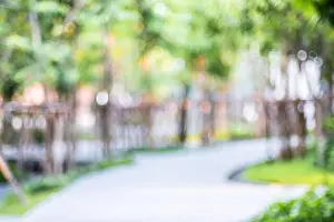 Defocused Prints: blur background of path way in public park in sunny day with bokeh light