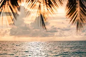 Blur beautiful nature green palm leaf on tropical sunset beach sea with bokeh light wave abstract background. Copy space summer vacation and holiday
