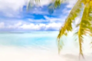 Blurred blue sky and sea with bokeh light and leaves of coconut palm tree. Landscape of tropical summer. Summer vacation concept. Luxury dream travel