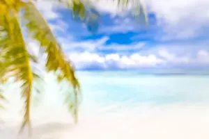 Blurred blue sky and sea with bokeh light and leaves of coconut palm tree. Landscape of tropical summer. Summer vacation concept. Luxury dream travel