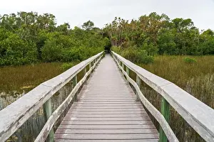 Water Views Prints: A Boardwalk at Everglades National Park, Florida, United States