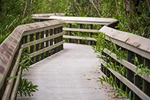 Water Views Prints: A Boardwalk at Everglades National Park, Florida, United States