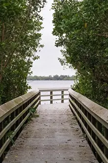 Water Views Prints: A Boardwalk at Everglades National Park, Florida, United States