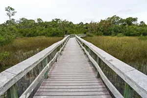 Water Views Prints: A Boardwalk at Everglades National Park, Florida, United States