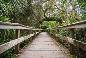 Water Views Prints: A Boardwalk at Everglades National Park, Florida, United States