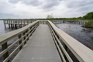 Water Views Prints: A Boardwalk at Everglades National Park, Florida, United States