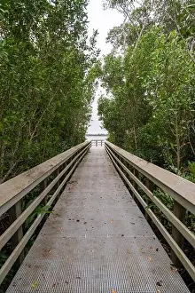 Water Views Prints: A Boardwalk at Everglades National Park, Florida, United States