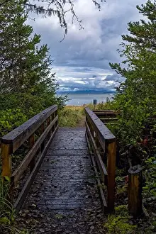 Beachfront Prints: A boardwalk leads to the beach on Willapa Bay at Leadbetter Point State Park