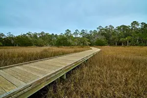 Cloud Sky Prints: Boardwalk at Skidaway Island State Park, GA