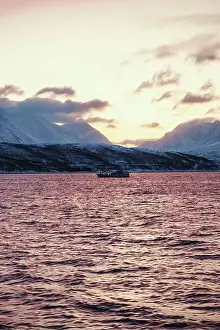 Boat on the arctic ocean in winter at golden hour in northern Norway