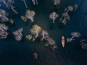Dry Trees Prints: A boat travels on a deserted lake among the dry trees in the morning on a winter day