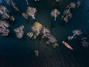 A boat travels on a deserted lake among the dry trees in the morning on a winter day